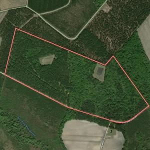 Photo #109 of 8004 White Oak River Road, Maysville, NC 117.3 acres