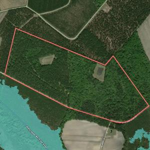 Photo #112 of 8004 White Oak River Road, Maysville, NC 117.3 acres