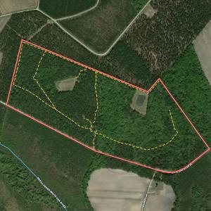 Photo #110 of 8004 White Oak River Road, Maysville, NC 117.3 acres