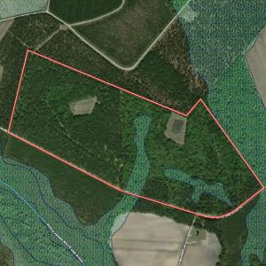 Photo #111 of 8004 White Oak River Road, Maysville, NC 117.3 acres