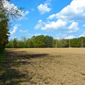 Photo of UNDER CONTRACT!  Land For Sale in Columbus County North Carolina