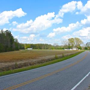 Photo of UNDER CONTRACT!  Land For Sale in Columbus County North Carolina