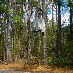 Photo of UNDER CONTRACT!  Land For Sale in Columbus County North Carolina