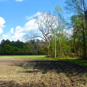 Photo of UNDER CONTRACT!  Land For Sale in Columbus County North Carolina