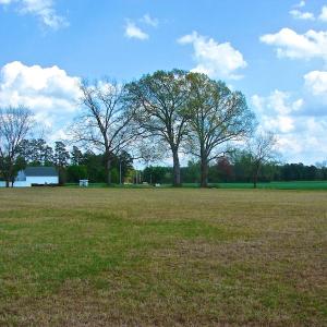 Photo of UNDER CONTRACT!  Land For Sale in Columbus County North Carolina