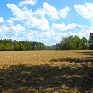 Photo of UNDER CONTRACT!  Land For Sale in Columbus County North Carolina