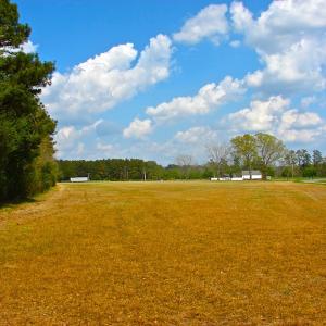 Photo of UNDER CONTRACT!  Land For Sale in Columbus County North Carolina