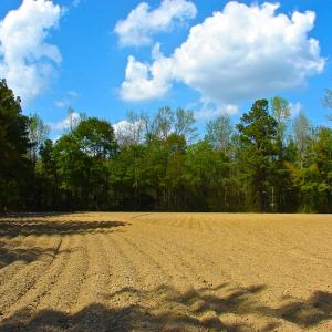Photo of UNDER CONTRACT!  Land For Sale in Columbus County North Carolina