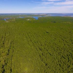 Photo of UNDER CONTRACT!  65 ac of Timber and Hunting Land For Sale in Pamlico County, NC!