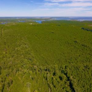 Photo of UNDER CONTRACT!  65 ac of Timber and Hunting Land For Sale in Pamlico County, NC!