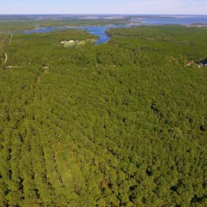 Photo of UNDER CONTRACT!  65 ac of Timber and Hunting Land For Sale in Pamlico County, NC!