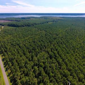 Photo of UNDER CONTRACT!  65 ac of Timber and Hunting Land For Sale in Pamlico County, NC!