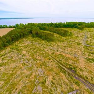 Photo of SOLD!!  300 ac Riverfront Development Land for Sale in Bertie County, NC!