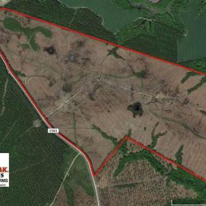 Photo of SOLD!!  300 ac Riverfront Development Land for Sale in Bertie County, NC!