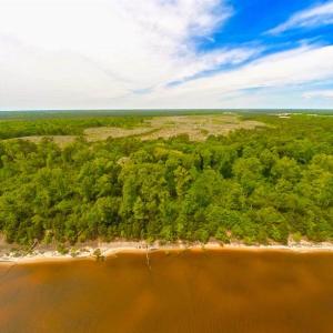 Photo of SOLD!!  300 ac Riverfront Development Land for Sale in Bertie County, NC!