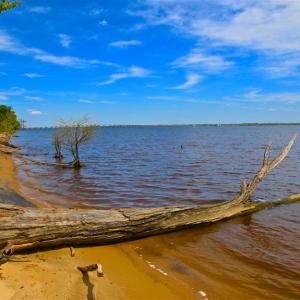 Photo of SOLD!!  300 ac Riverfront Development Land for Sale in Bertie County, NC!