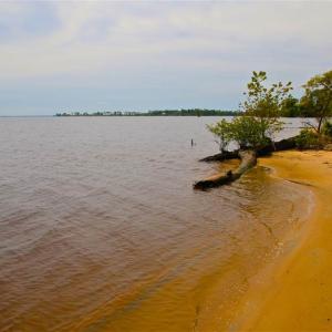Photo of SOLD!!  300 ac Riverfront Development Land for Sale in Bertie County, NC!