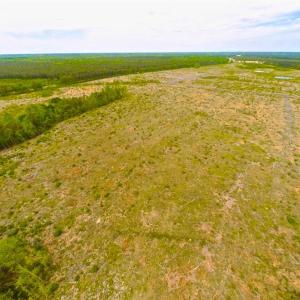 Photo of SOLD!!  300 ac Riverfront Development Land for Sale in Bertie County, NC!