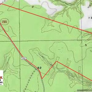 Photo of SOLD!!  300 ac Riverfront Development Land for Sale in Bertie County, NC!