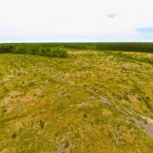 Photo of SOLD!!  300 ac Riverfront Development Land for Sale in Bertie County, NC!