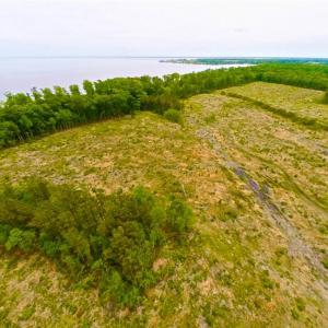 Photo of SOLD!!  300 ac Riverfront Development Land for Sale in Bertie County, NC!