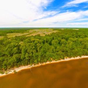 Photo of SOLD!!  300 ac Riverfront Development Land for Sale in Bertie County, NC!