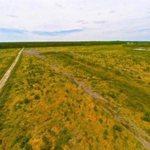Photo of SOLD!!  300 ac Riverfront Development Land for Sale in Bertie County, NC!