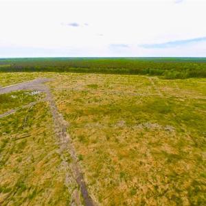 Photo of SOLD!!  300 ac Riverfront Development Land for Sale in Bertie County, NC!