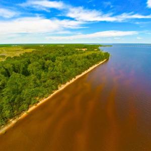 Photo of SOLD!!  300 ac Riverfront Development Land for Sale in Bertie County, NC!