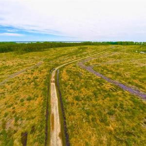Photo of SOLD!!  300 ac Riverfront Development Land for Sale in Bertie County, NC!
