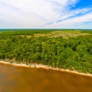 Photo of SOLD!!  300 ac Riverfront Development Land for Sale in Bertie County, NC!