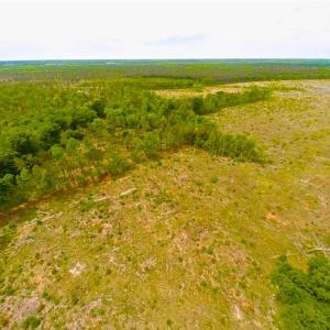 Photo of SOLD!!  300 ac Riverfront Development Land for Sale in Bertie County, NC!