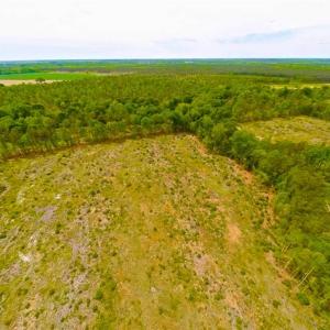 Photo of SOLD!!  300 ac Riverfront Development Land for Sale in Bertie County, NC!