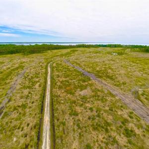 Photo of SOLD!!  300 ac Riverfront Development Land for Sale in Bertie County, NC!