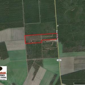 Photo of UNDER CONTRACT!  136 ac Hunting Land for Sale in Pamlico County NC!