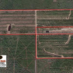 Photo of UNDER CONTRACT!  136 ac Hunting Land for Sale in Pamlico County NC!