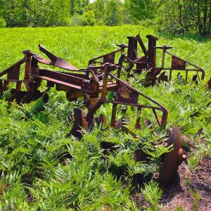 Photo of UNDER CONTRACT!  136 ac Hunting Land for Sale in Pamlico County NC!