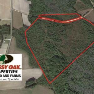 Photo of UNDER CONTRACT! 71 ac Hunting Land For Sale in Bladen County NC!
