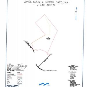Photo of UNDER CONTRACT!  217 ac Timber and Hunting Land for Sale in Jones County NC!