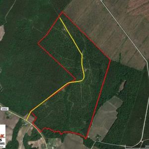 Photo of UNDER CONTRACT!  217 ac Timber and Hunting Land for Sale in Jones County NC!