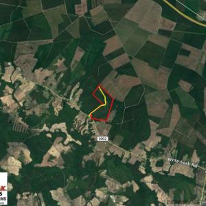 Photo of UNDER CONTRACT!  217 ac Timber and Hunting Land for Sale in Jones County NC!