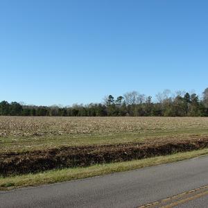 Photo of UNDER CONTRACT!  40 Acre Farm for Sale in Brunswick County NC!