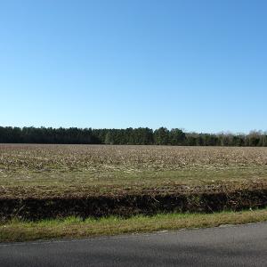 Photo of UNDER CONTRACT!  40 Acre Farm for Sale in Brunswick County NC!