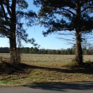 Photo of UNDER CONTRACT!  40 Acre Farm for Sale in Brunswick County NC!