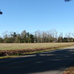 Photo of UNDER CONTRACT!  40 Acre Farm for Sale in Brunswick County NC!