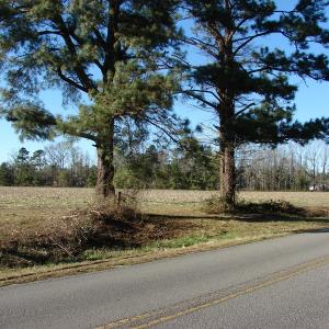 Photo of UNDER CONTRACT!  40 Acre Farm for Sale in Brunswick County NC!