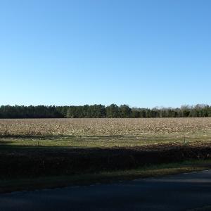 Photo of UNDER CONTRACT!  40 Acre Farm for Sale in Brunswick County NC!