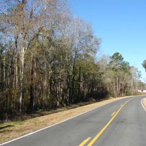 Photo of SOLD!  45 Acres of Hunting and Timber Land For Sale in Columbus County NC!