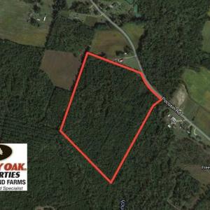 Photo of SOLD!  45 Acres of Hunting and Timber Land For Sale in Columbus County NC!