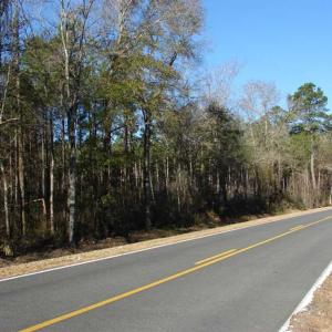 Photo of SOLD!  45 Acres of Hunting and Timber Land For Sale in Columbus County NC!